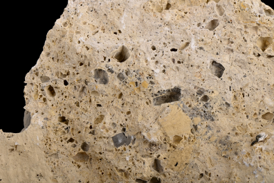 Cargneule - détail (Col d'Izoard, Alpes)